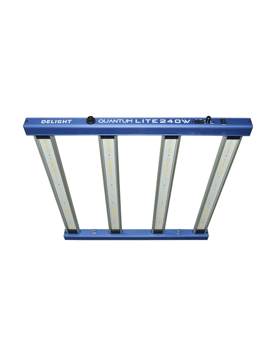 NEW QUANTUM LITE 240W-DELIGHT 4