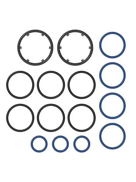 Juego De Anillos En O-Storz & Bickel 1