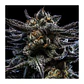 Zombie Kush Auto X3-Ripper Seeds - Miniatura 1