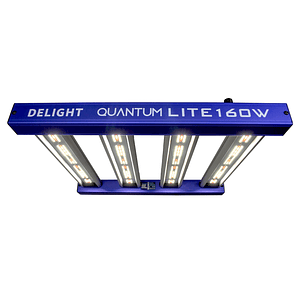 New Quantum Lite (160W/240W/360W/600W/720W)