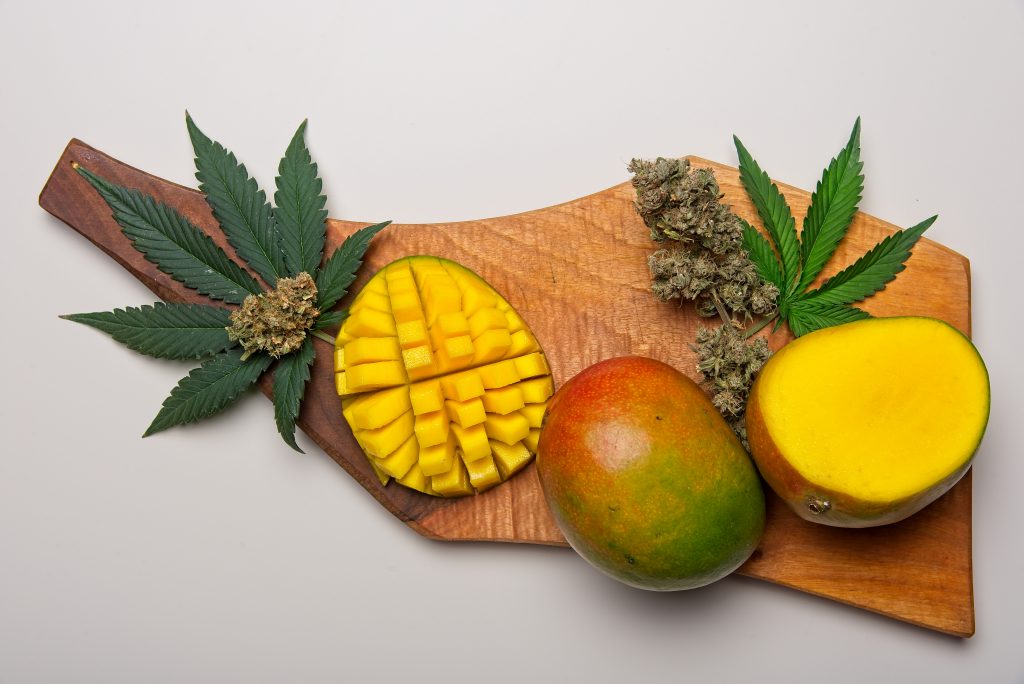 Mango y cannabis, un viaje seguro