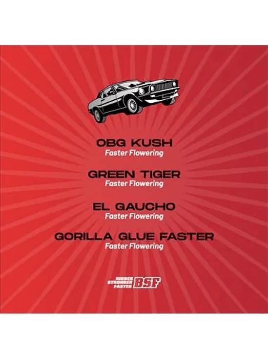 Faster And Furious Faster Mix Fem X4-Bsf 3