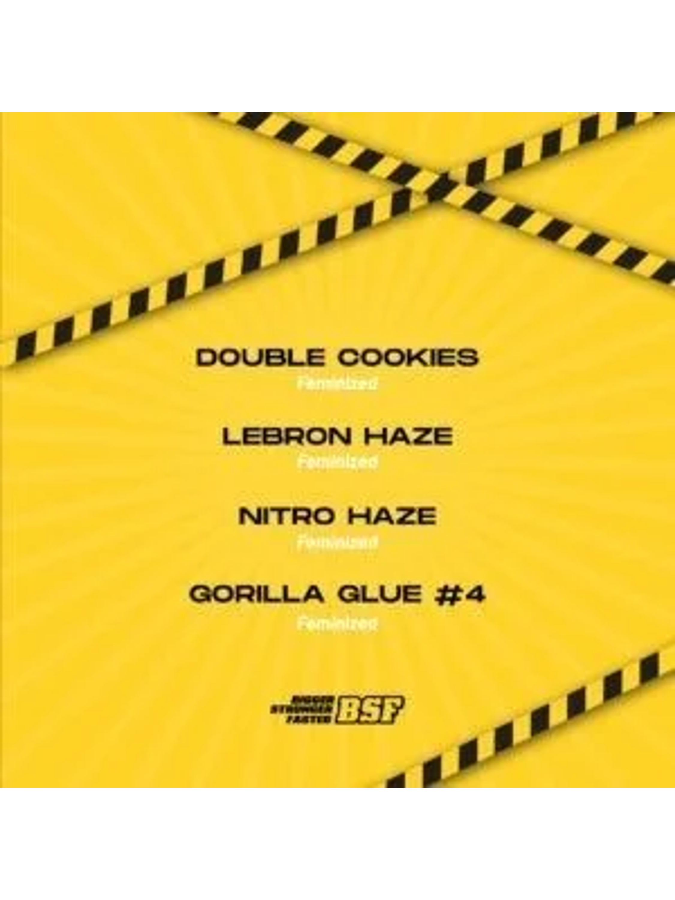 High Voltage Mix Fem -Bsf (X12/X8/X4) 3