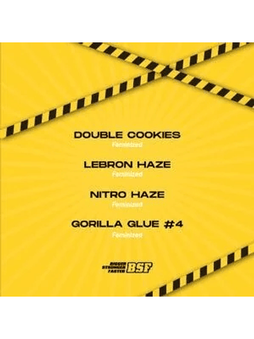 High Voltage Mix Fem X4-Bsf 3