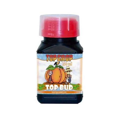 Top Bud -Top Crop