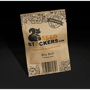 Big Bud Auto X3-Seedstockers