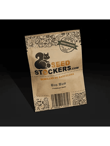 Big Bud Auto X3-Seedstockers 2