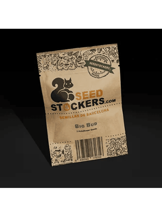 Big Bud Auto X3-Seedstockers 2