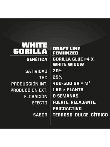 White Gorilla Fem X2-Bsf 3
