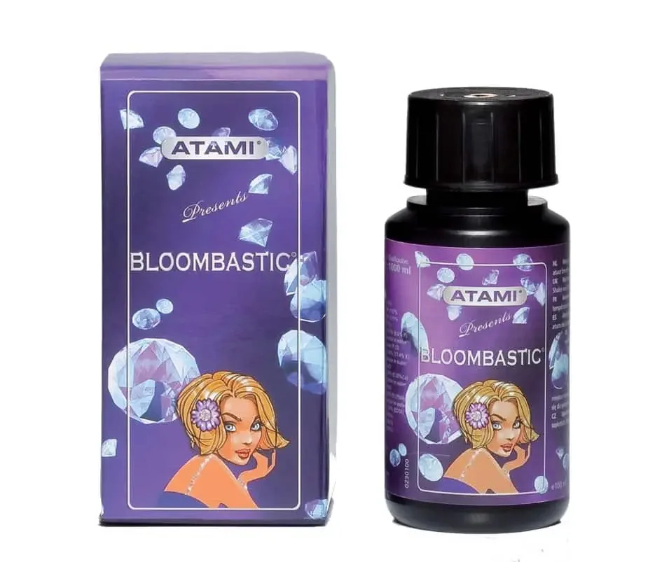 Bloombastic -Atami 2