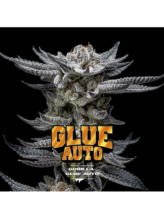 Gorilla Glue Auto Gk X2-Bsf 3