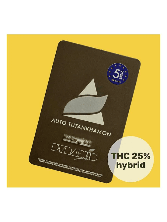 Tutankhamon Auto X3+1-Pyramid Seeds 2