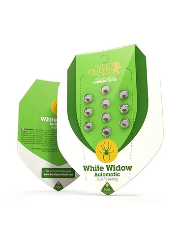 White Widow  Auto X3-Royal Queen Seeds 2