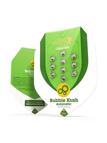 Bubble Kush  Auto X1-Royal Queen Seeds 3
