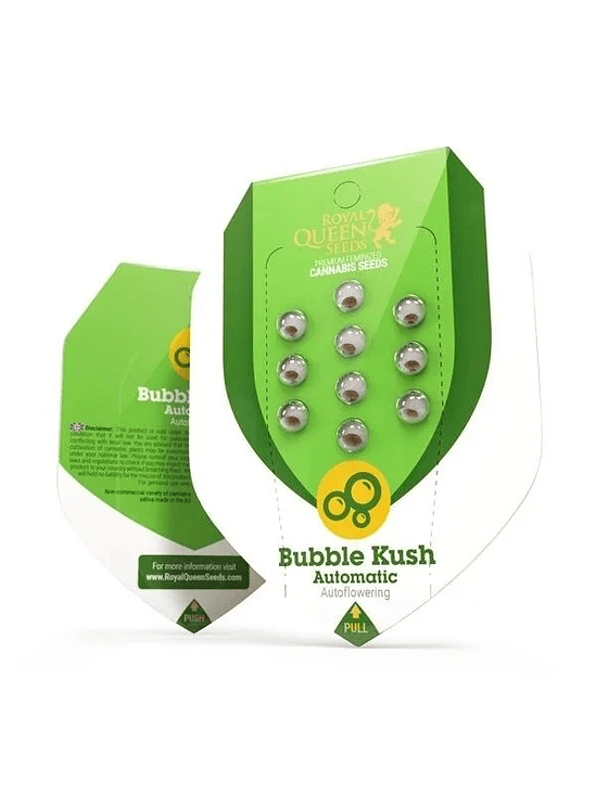 Bubble Kush  Auto X1-Royal Queen Seeds 3