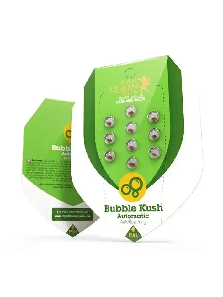 Bubble Kush Auto -Royal Queen Seeds (X10/X3/X1) 3