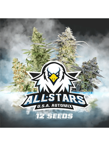 All Stars Usa Mix  Auto X4 -Bsf 2