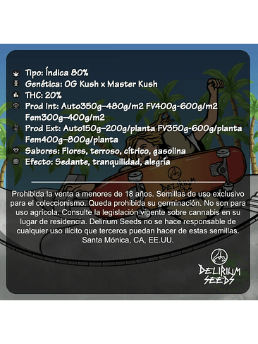 West Kush Auto X1-Delirium Seeds 4