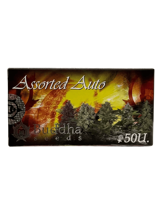 Assorted Auto X10-Buddha Seeds 2