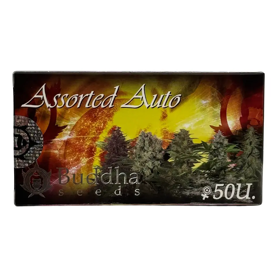 Assorted Auto -Buddha Seeds (X50/X10) 2