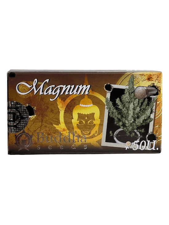 Magnum Auto X3+1-Buddha Seeds 4
