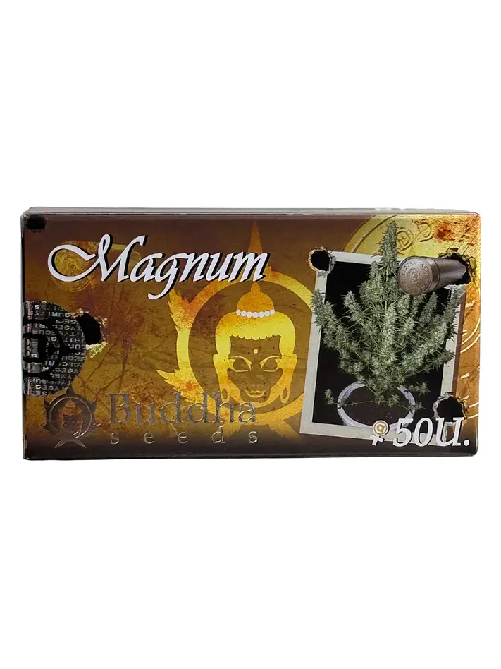 Magnum Auto -Buddha Seeds (X50/X3+1) 3