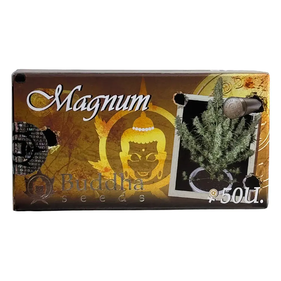 Magnum Auto -Buddha Seeds (X50/X3+1) 3