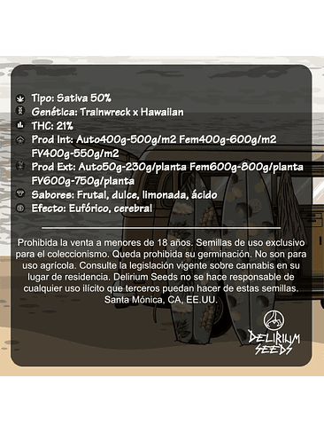 Pineapple Rime Line Fast Version X1-Delirium Seeds 3