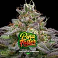 Gorilla Piña Fast Version X2-Bsf - Miniatura 3