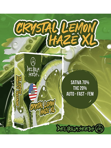 Crystal Lemon Haze Xl Auto X1-Delirium Seeds 2