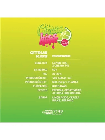 Citrus Kiss X2- Bsf 3
