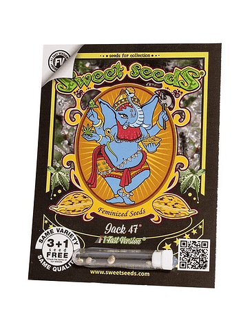 Jack 47 F1  Fem X25-Sweet Seeds 2