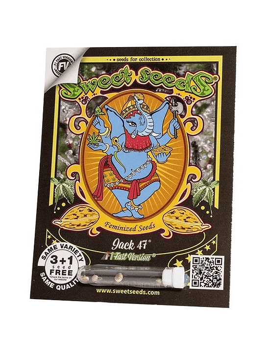 Jack 47 F1  Fem X25-Sweet Seeds 2