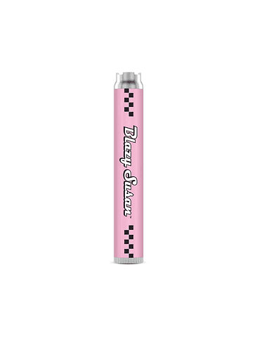 Batería Pen Purple-Blazy Susan 3