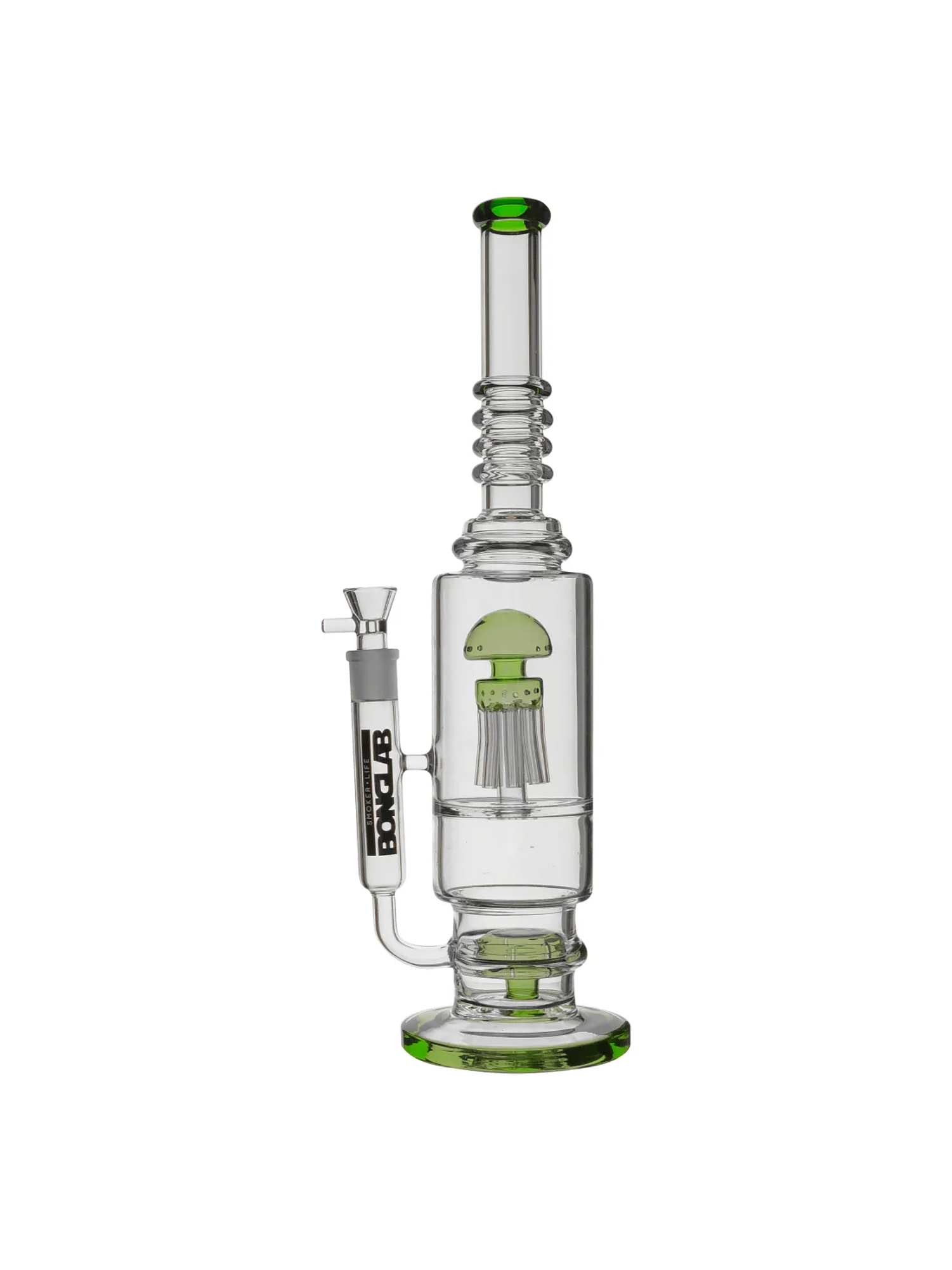 Jelly Fish-Bonglab 2