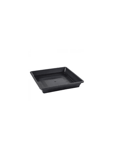 Plato Cuadrado Blanco 11-18 Lt 2