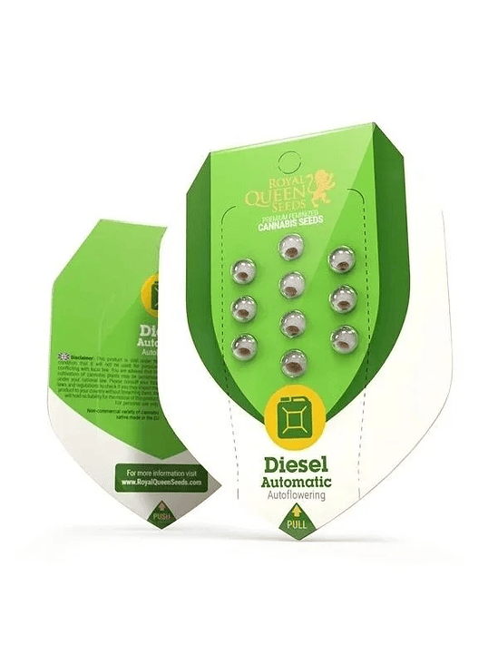 Diesel Auto X3-Royal Queen 4