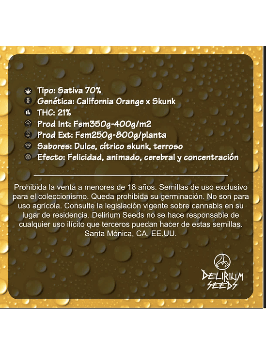 Delirium Tangi Fem X1-Delirium Seeds 3