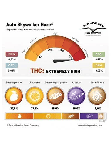 Skywalker Haze Auto X3+1-Dutch Passion 3