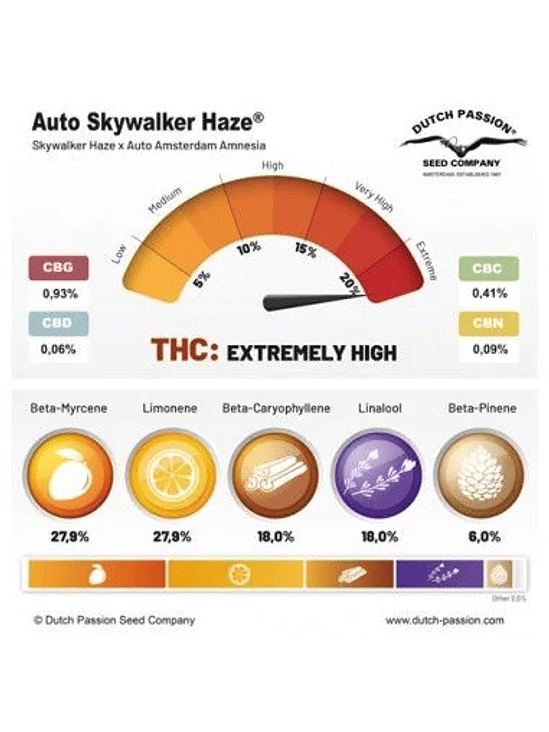 Skywalker Haze Auto X3+1-Dutch Passion 3