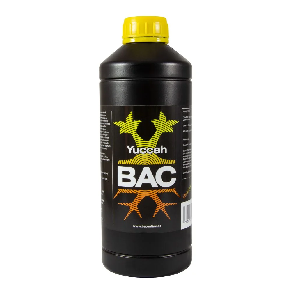 Yuccah -Bac 2