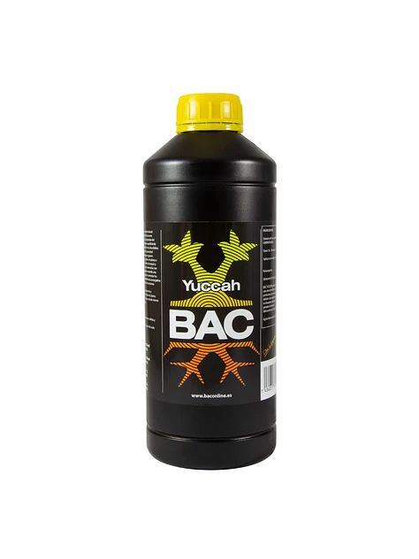 Yuccah -Bac 2
