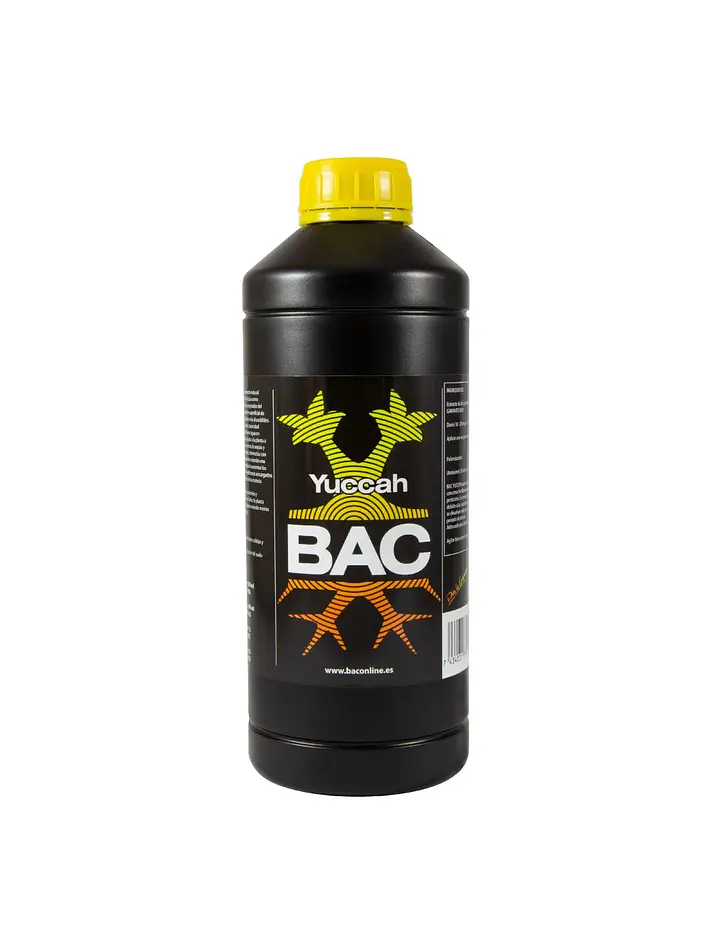 Yuccah -Bac 2