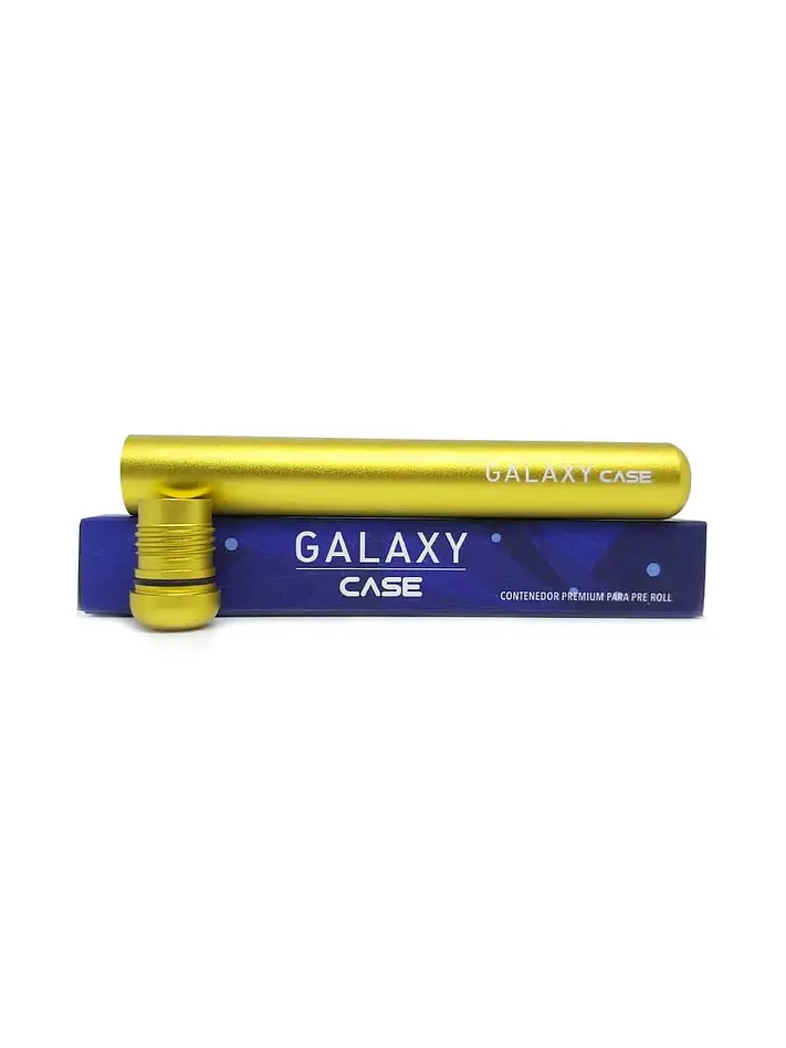 Case -Galaxy 2