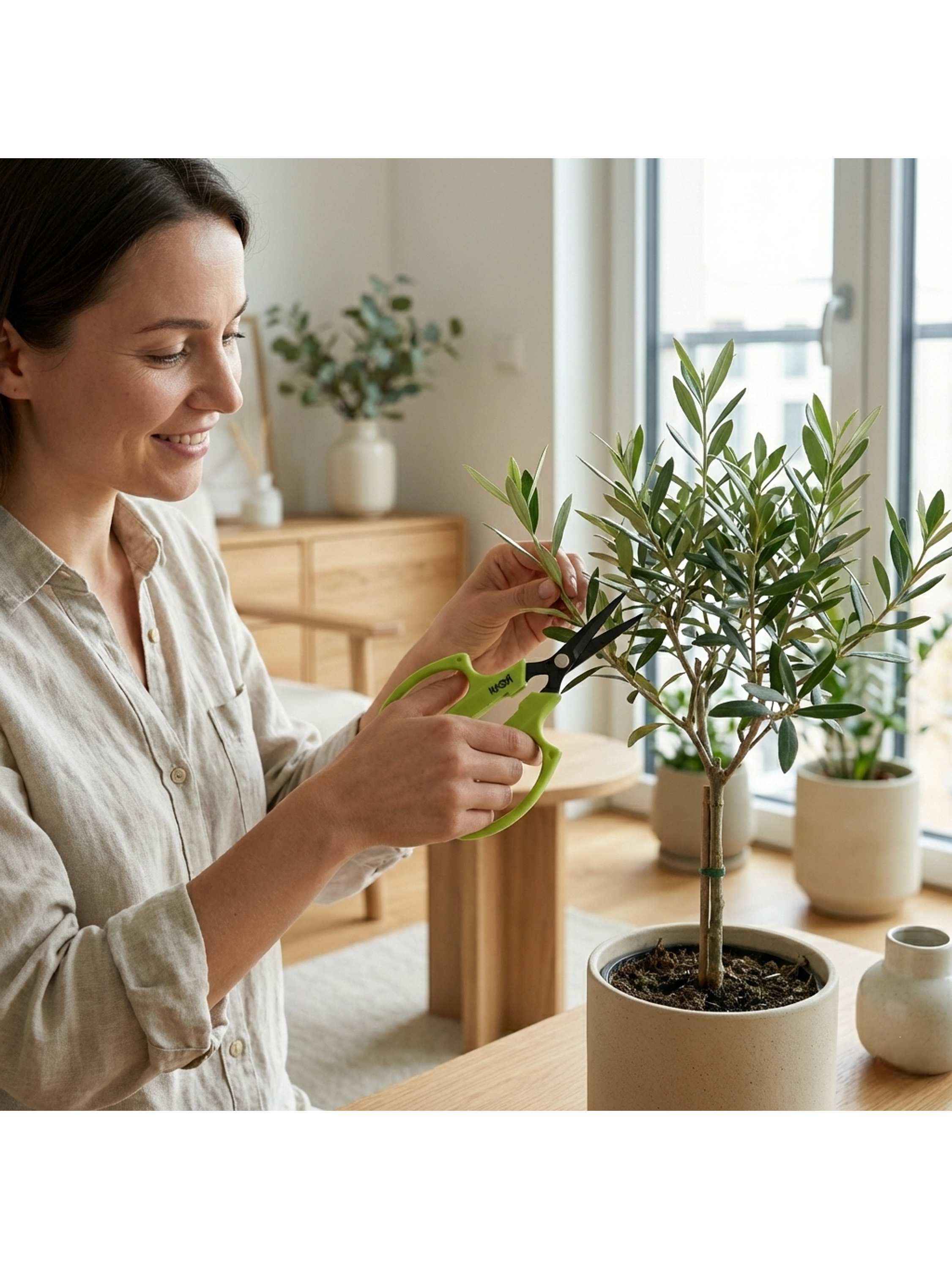 Tijera Razor Pro Recta - Kasvi 2