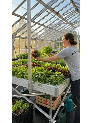 Mesa De Cultivo Con Ruedas 120X240- Kasvi 3