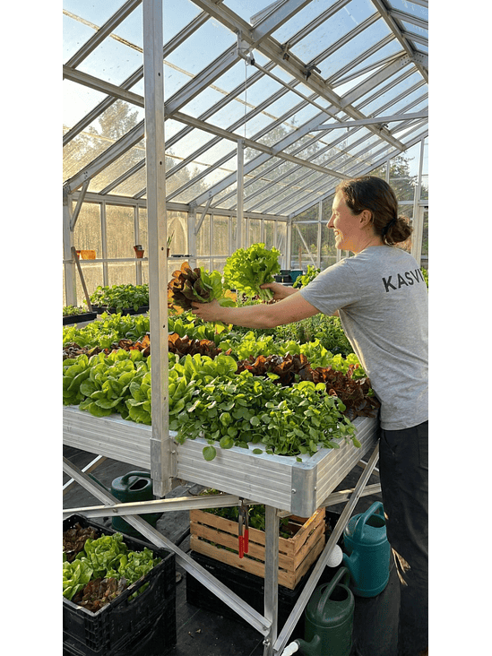 Mesa De Cultivo Con Ruedas 120X240- Kasvi 3