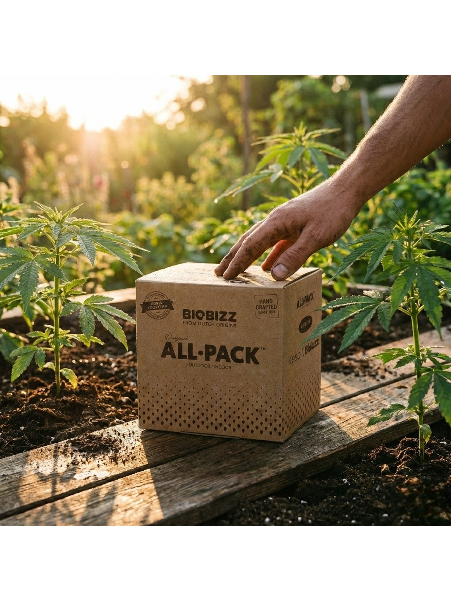 BIOBIZZ ALL PACK OUTDOOR 250 ML (6×250 ml) 2