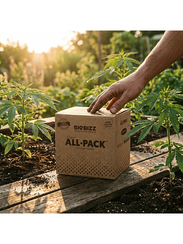 BIOBIZZ ALL PACK OUTDOOR 250 ML (6×250 ml) 2