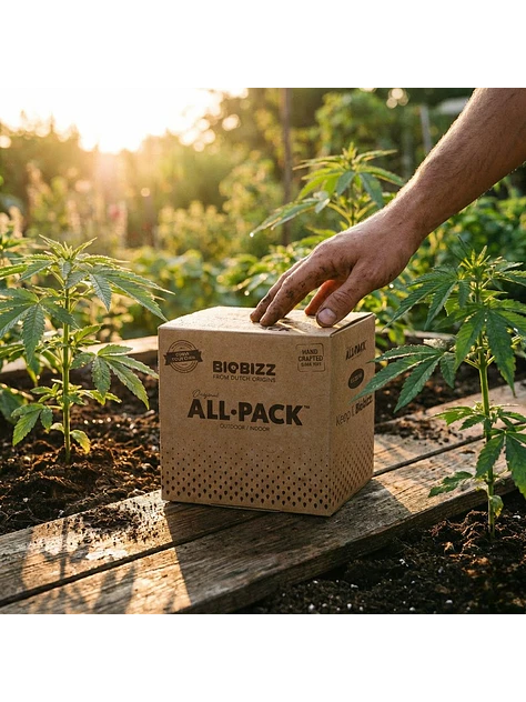  ALL PACK OUTDOOR (6×250 ml) - BIOBIZZ 2